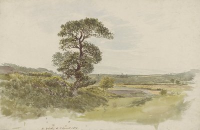 A Landscape in Snowdonia with a Tree in the Foreground by John Linnell